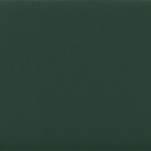 Obklad Costa Nova Laurel Green | 50x200 | mat