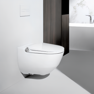 SET I WC sedátko Cleanet Riva + klozet závěsný  | 600 × 395 | rimless | bílá LCC