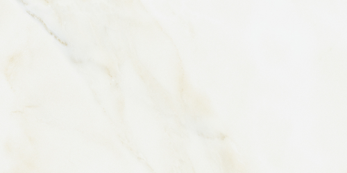 Dlažba EvolutionMarble Calacatta | 300x600 | mat