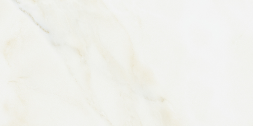 Dlažba EvolutionMarble Calacatta | bílá | 300x600 mm | mat