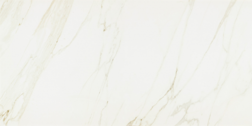 Dlažba EvolutionMarble Calacatta | bílá | 600x1200 mm | mat