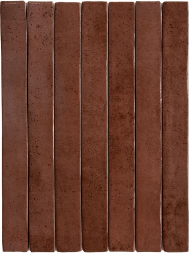 Obklad Savoir Faire Chutney | 48x450 | lesk